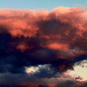 Meet your Posher, Jarizza